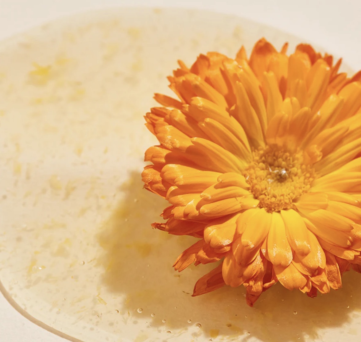 Calendula Peel