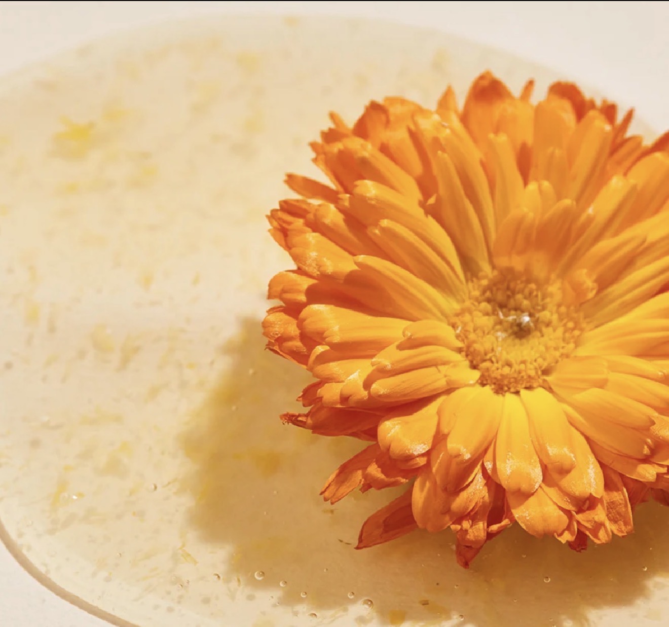 Calendula Peel